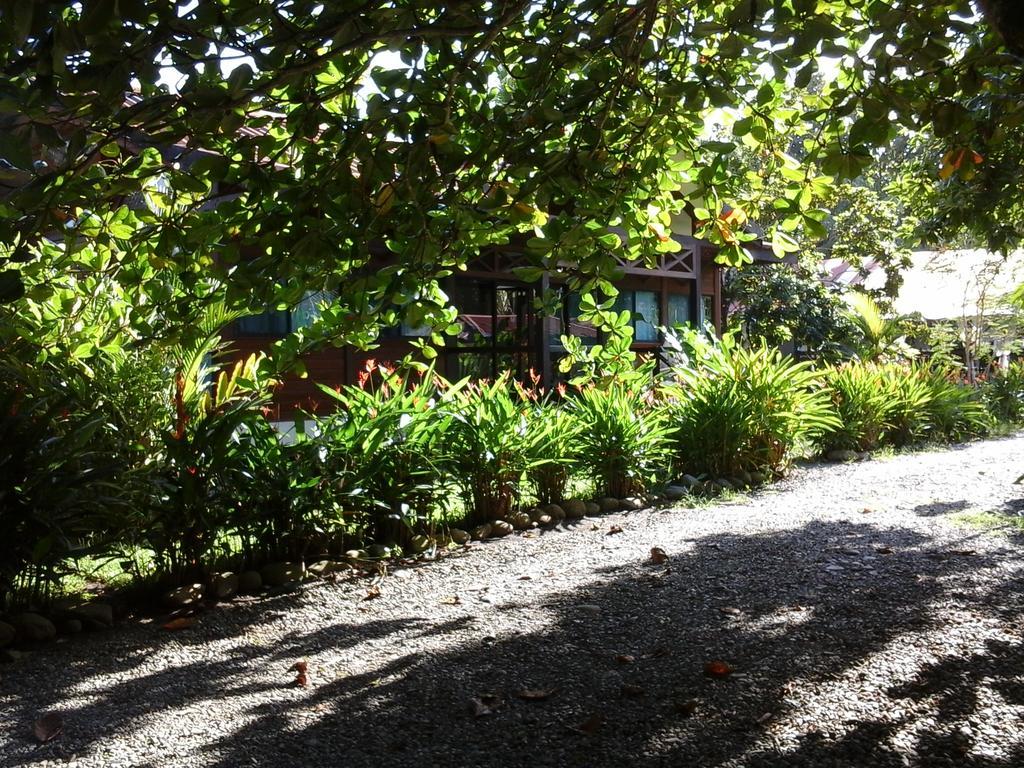 肯那奇山林小屋 Puerto Viejo de Talamanca 外观 照片