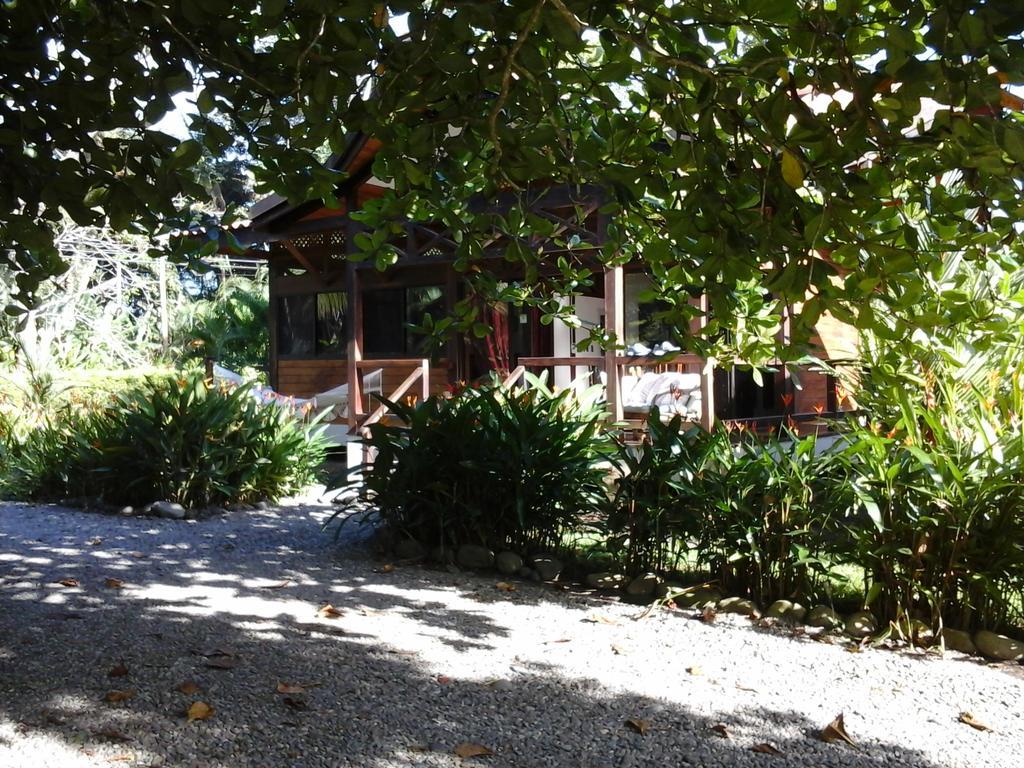 肯那奇山林小屋 Puerto Viejo de Talamanca 外观 照片