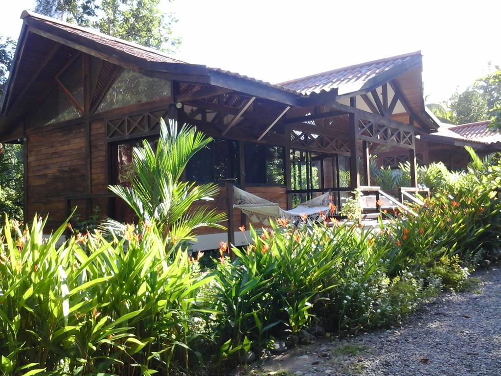 肯那奇山林小屋 Puerto Viejo de Talamanca 外观 照片