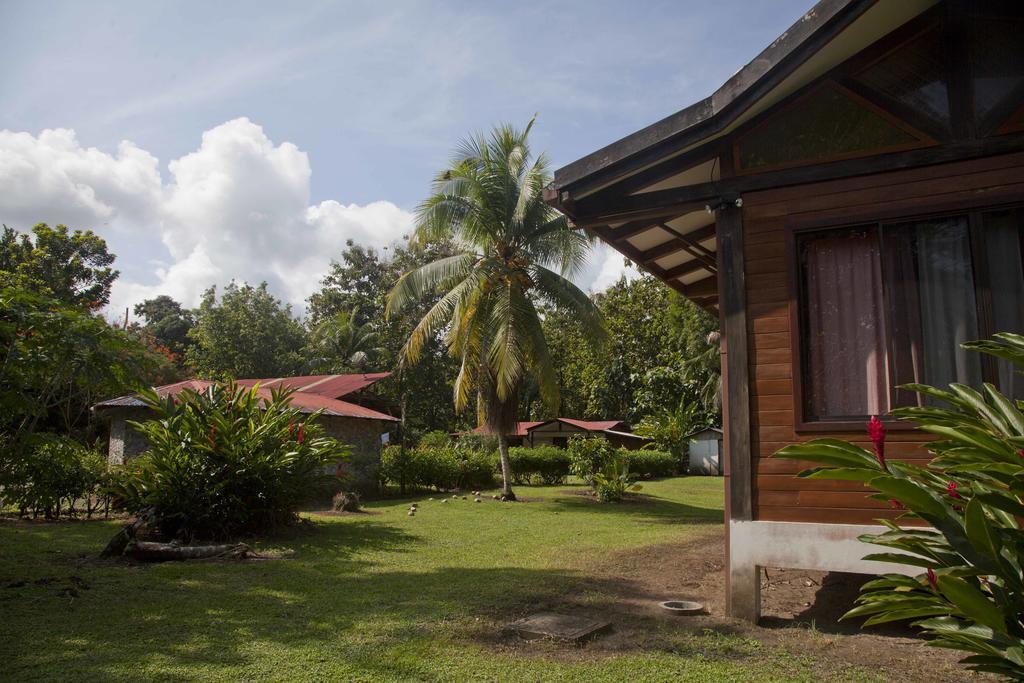 肯那奇山林小屋 Puerto Viejo de Talamanca 外观 照片