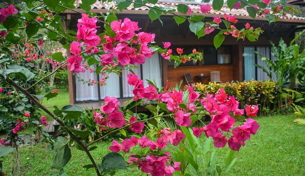 肯那奇山林小屋 Puerto Viejo de Talamanca 外观 照片