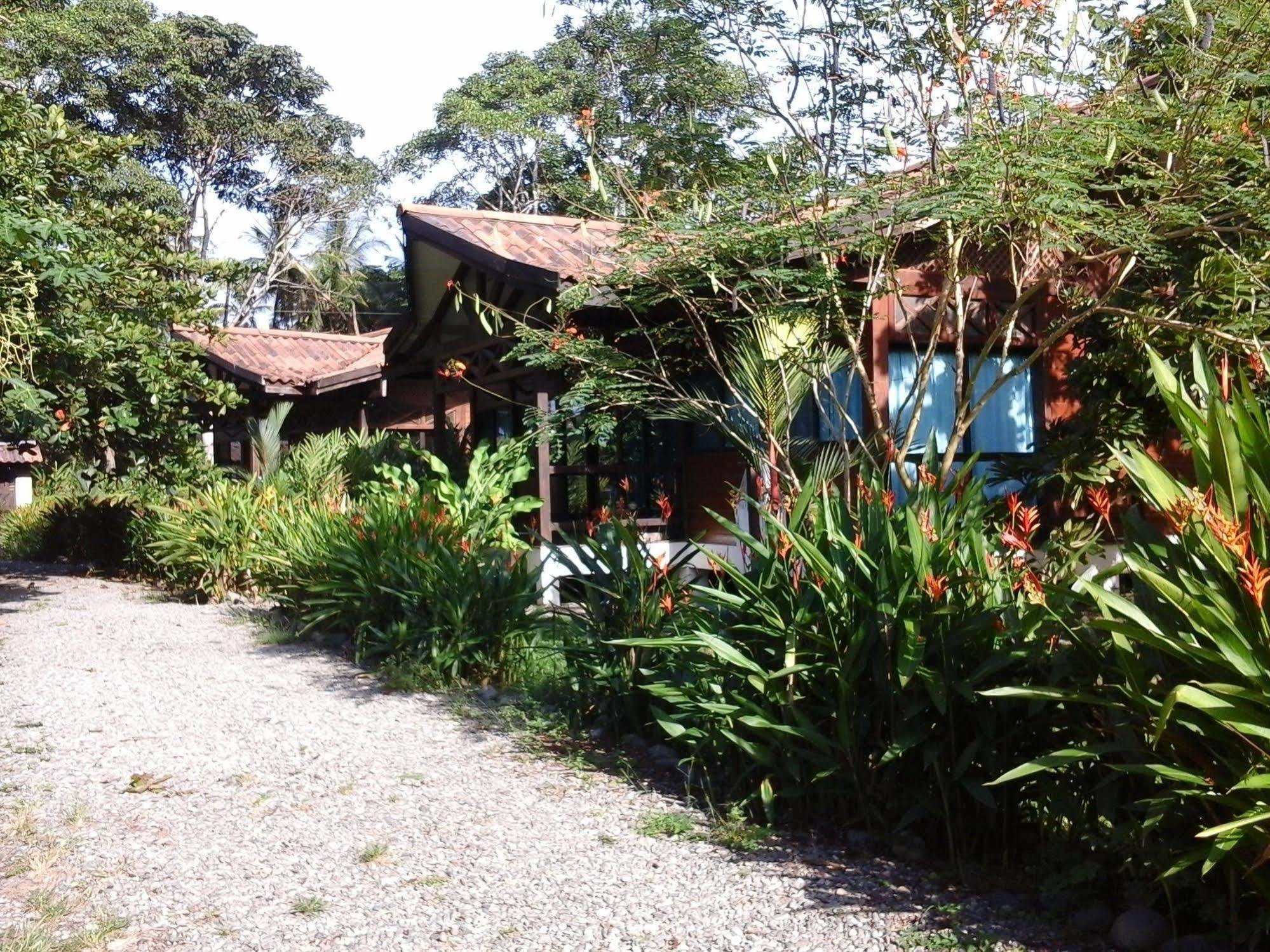 肯那奇山林小屋 Puerto Viejo de Talamanca 外观 照片