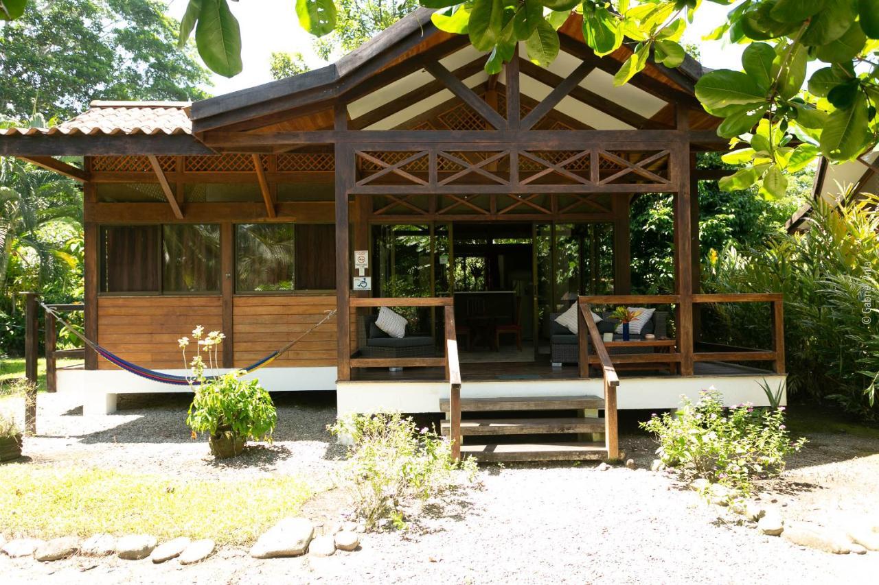 肯那奇山林小屋 Puerto Viejo de Talamanca 外观 照片